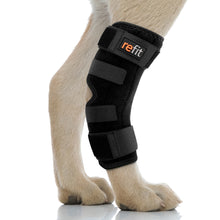 Load image into Gallery viewer, REFIT: Fast, Effective Canine Orthopedic Recovery Solutions