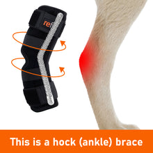 Load image into Gallery viewer, REFIT™ Dog Canine Back Leg Brace Hock (Ankle) Joint Support