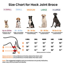 Load image into Gallery viewer, REFIT™ Dog Canine Back Leg Brace Hock (Ankle) Joint Support